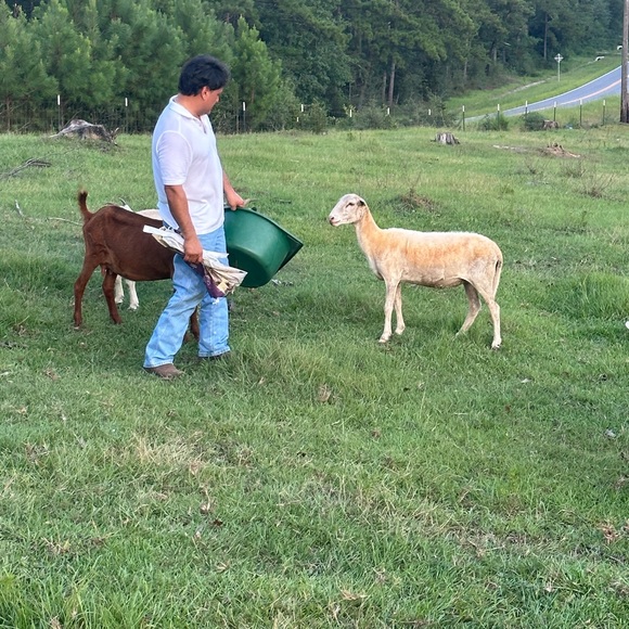 Meet your Posher, Ren?e - Picture 8 of 11